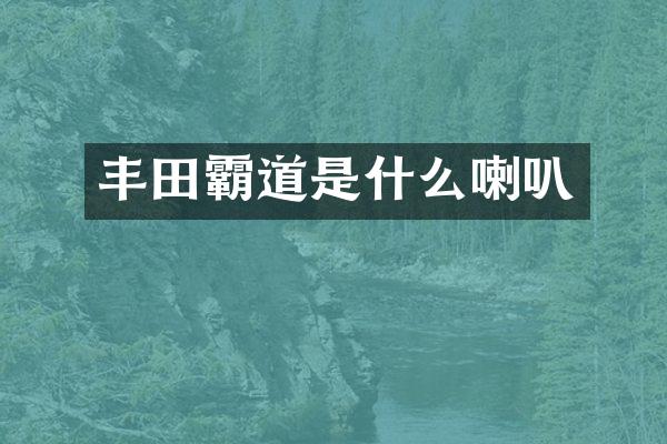 丰田霸道是什么喇叭