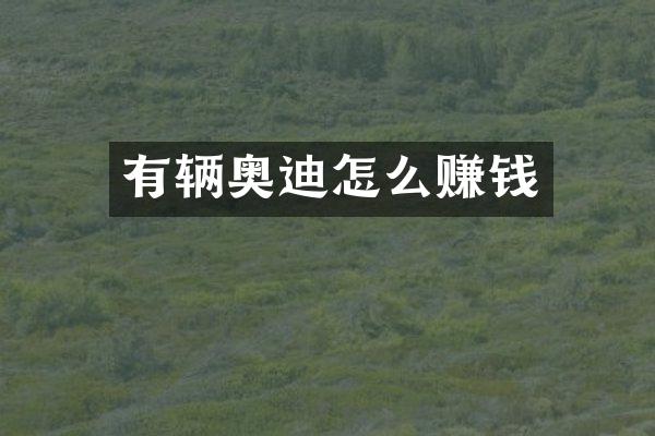 有辆奥迪怎么赚钱