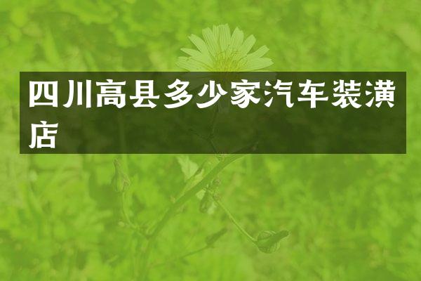 四川高县多少家汽车装潢店