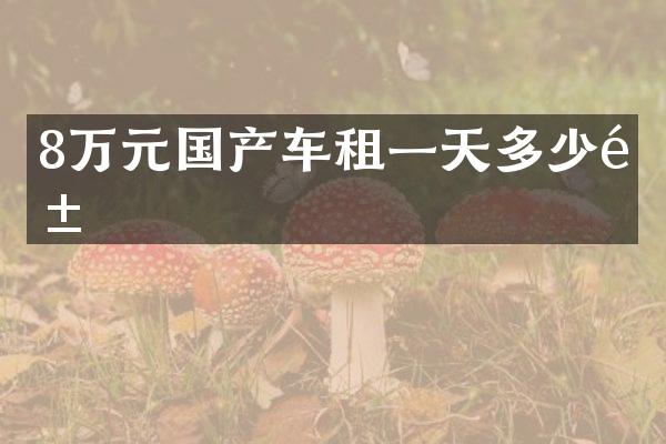 8万元国产车租一天多少钱