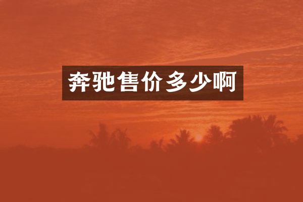 奔驰售价多少啊