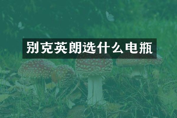 别克英朗选什么电瓶