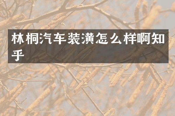 林桐汽车装潢怎么样啊知乎