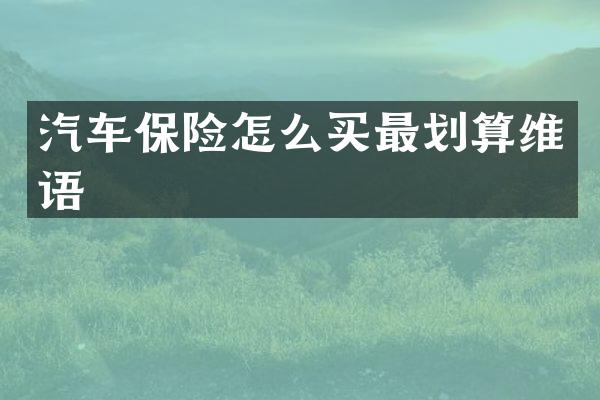 汽车保险怎么买最划算维语