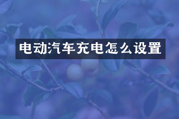 电动汽车充电怎么设置