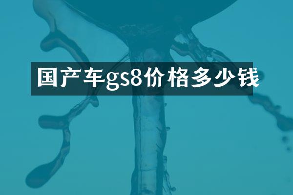 国产车gs8价格多少钱