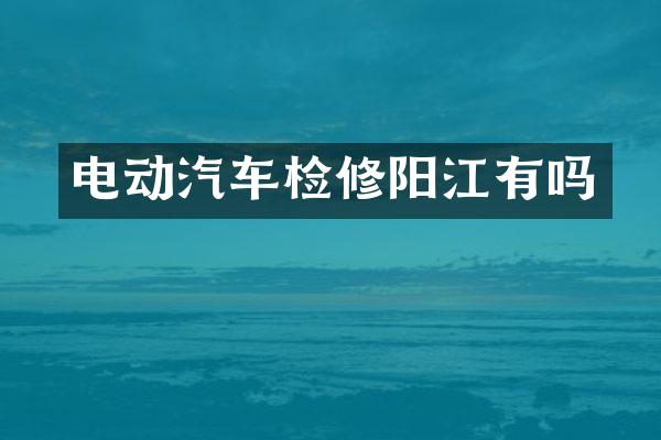 电动汽车检修阳江有吗