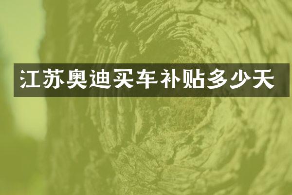 江苏奥迪买车补贴多少天