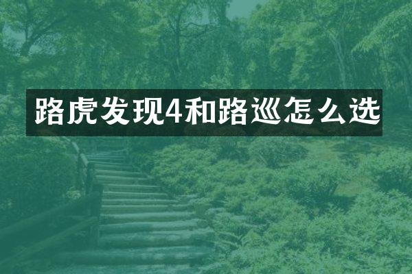 路虎发现4和路巡怎么选