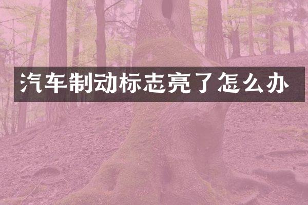 汽车制动标志亮了怎么办