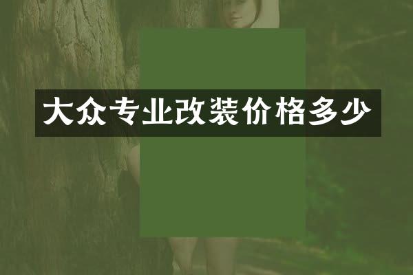 大众专业改装价格多少