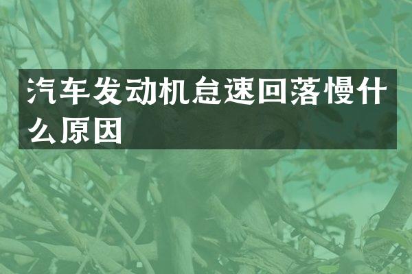 汽车发动机怠速回落慢什么原因