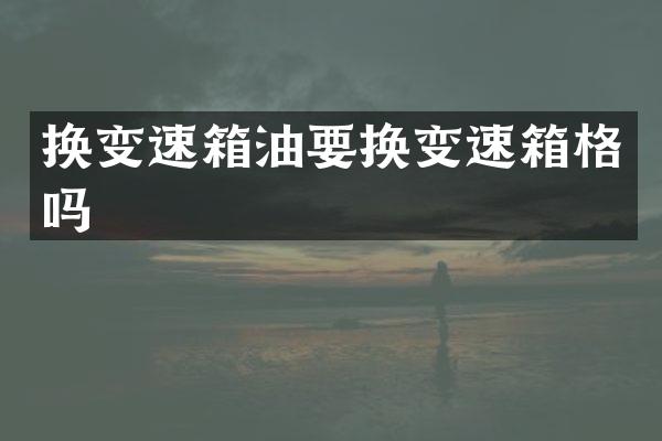 换变速箱油要换变速箱格吗
