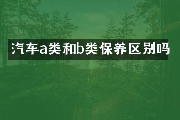 汽车a类和b类保养区别吗