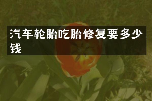 汽车轮胎吃胎修复要多少钱