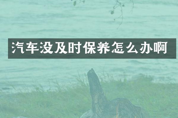 汽车没及时保养怎么办啊