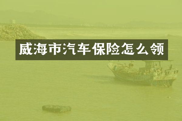 威海市汽车保险怎么领