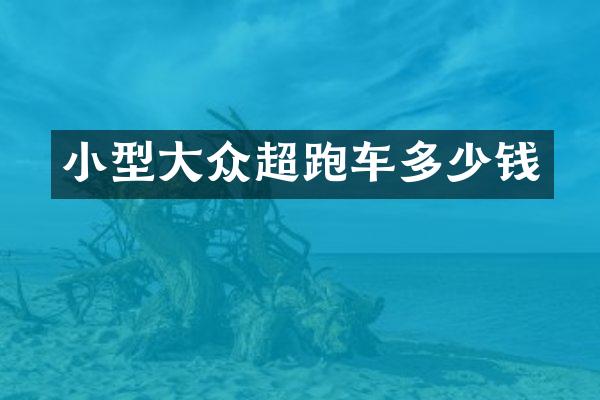 小型大众超跑车多少钱