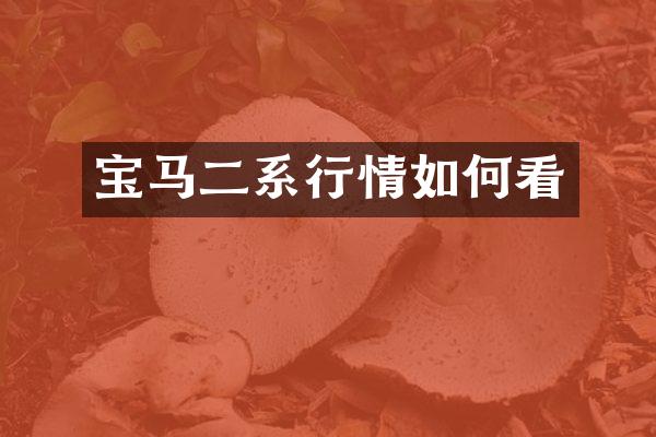 宝马二系行情如何看