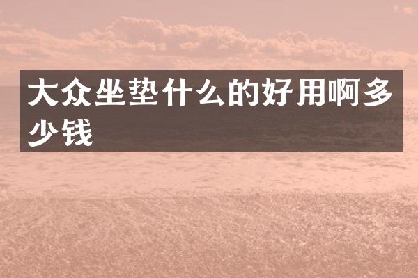 大众坐垫什么的好用啊多少钱