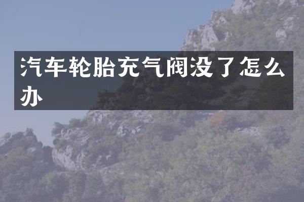 汽车轮胎充气阀没了怎么办