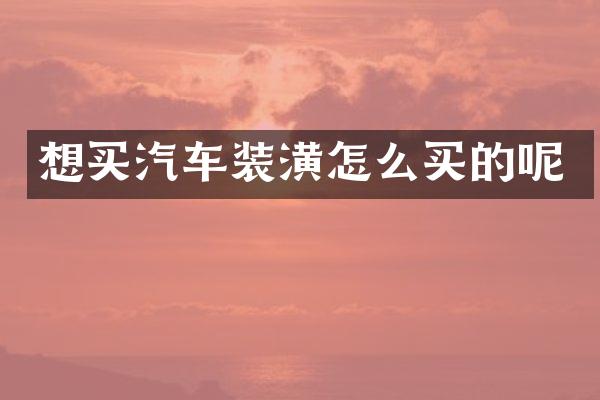 想买汽车装潢怎么买的呢