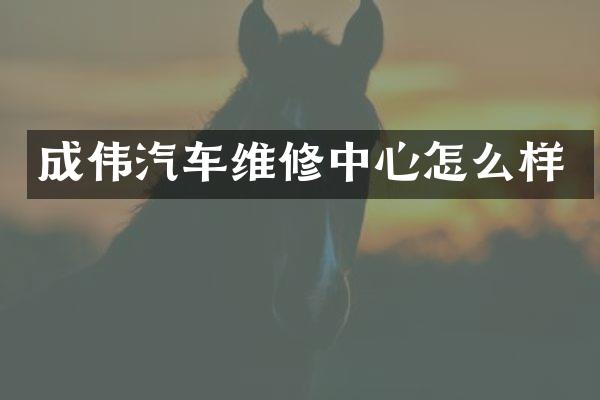 成伟汽车维修中心怎么样