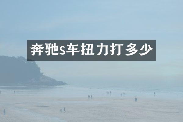 奔驰s车扭力打多少