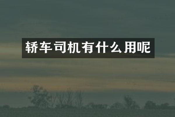 轿车司机有什么用呢