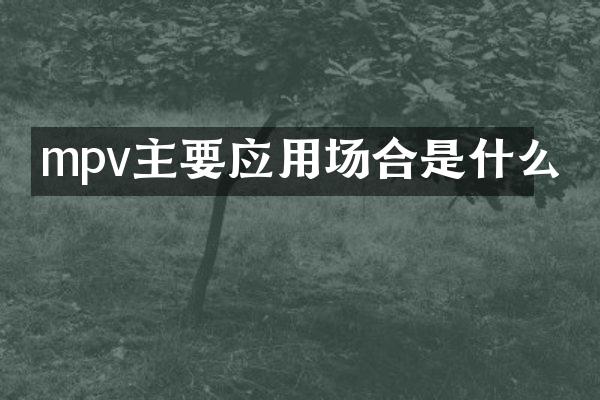 mpv主要应用场合是什么