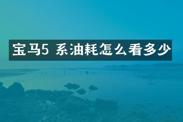 宝马5 系油耗怎么看多少
