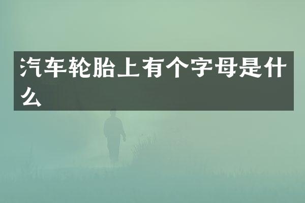 汽车轮胎上有个字母是什么