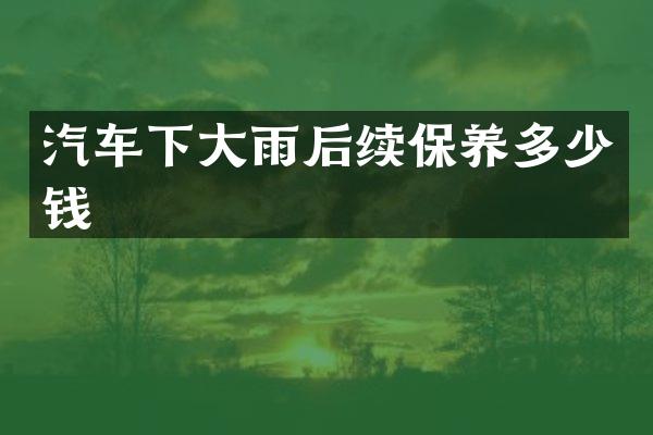 汽车下大雨后续保养多少钱
