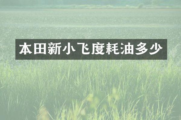 本田新小飞度耗油多少