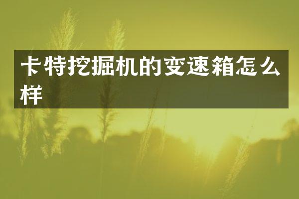 卡特挖掘机的变速箱怎么样