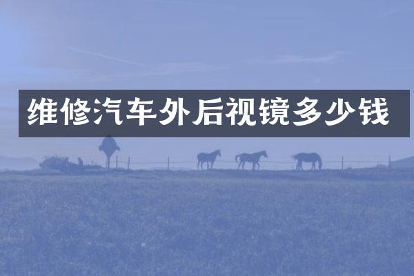 维修汽车外后视镜多少钱
