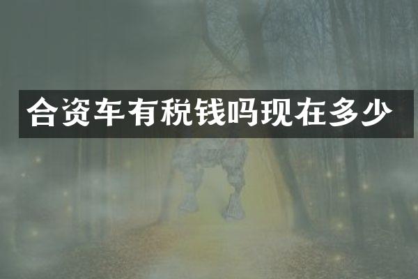 合资车有税钱吗现在多少