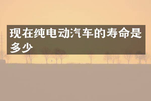 现在纯电动汽车的寿命是多少