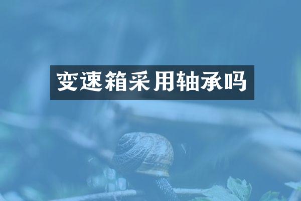 变速箱采用轴承吗