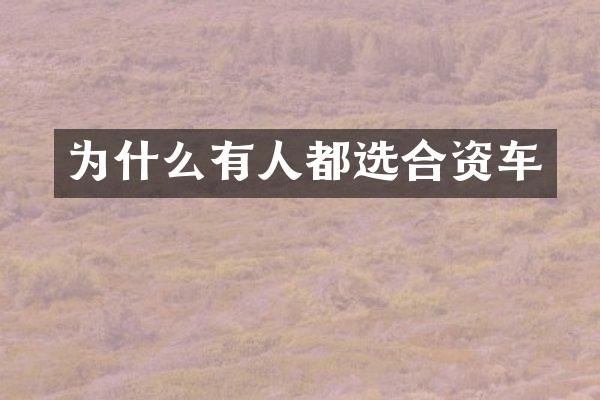 为什么有人都选合资车