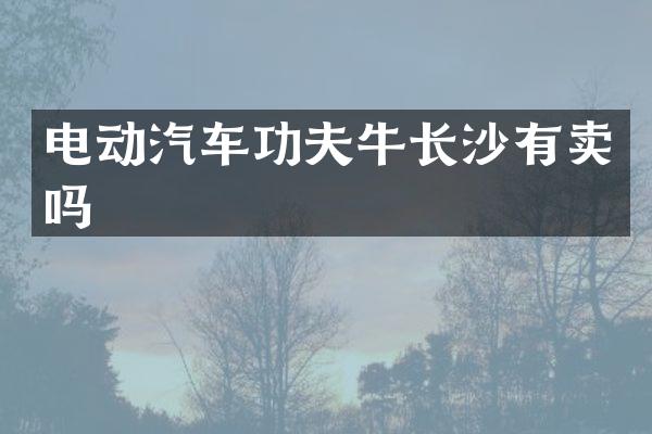 电动汽车功夫牛长沙有卖吗