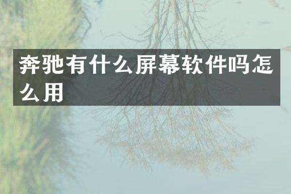 奔驰有什么屏幕软件吗怎么用