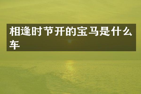 相逢时节开的宝马是什么车