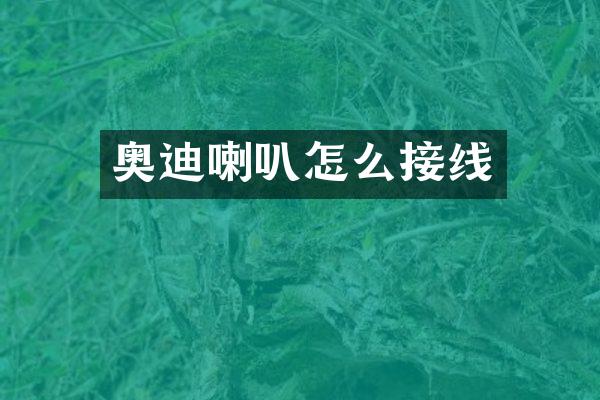奥迪喇叭怎么接线
