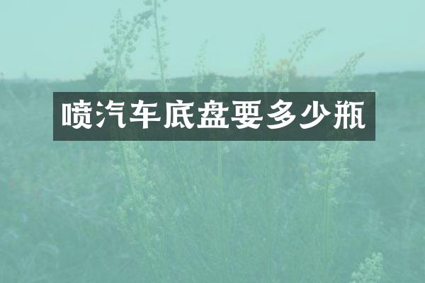 喷汽车底盘要多少瓶