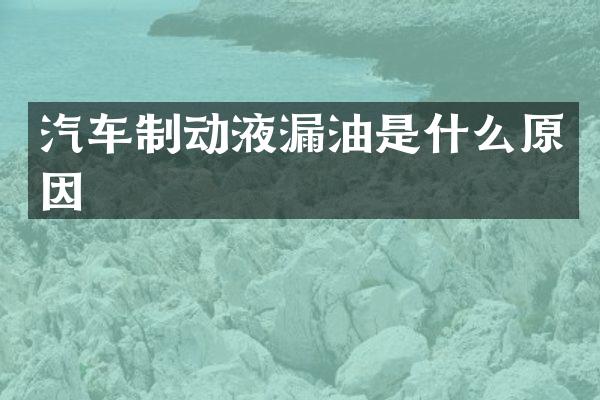 汽车制动液漏油是什么原因