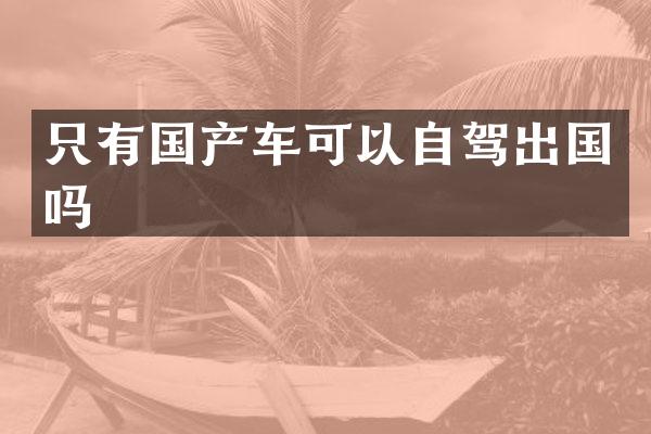只有国产车可以自驾出国吗