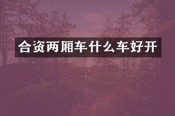 合资两厢车什么车好开