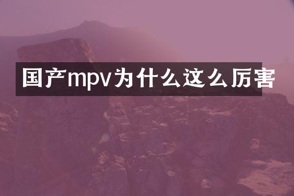 国产mpv为什么这么厉害