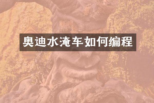 奥迪水淹车如何编程